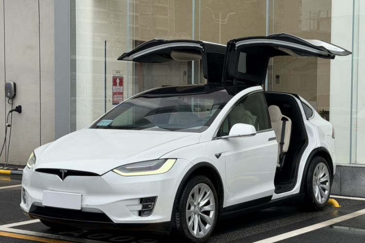 Used Tesla Model X 2019 Long-Range Version
