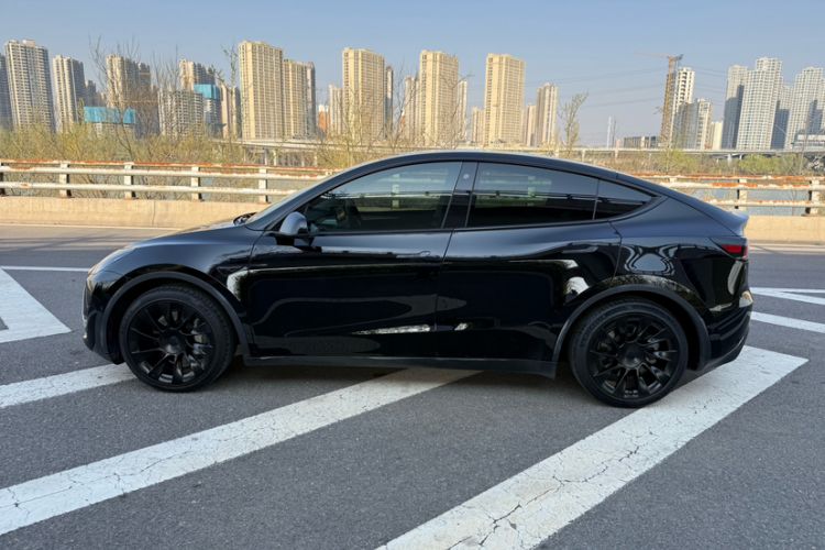 Used Tesla Model Y 2021 Standard Range Rear-Wheel Drive Version