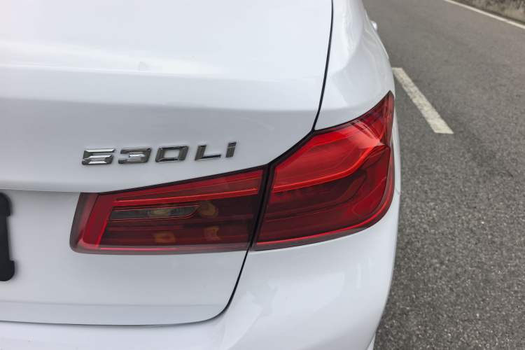 Used BMW 5 Series 2019 530Li Luxury Edition Premium Package Exterior 11