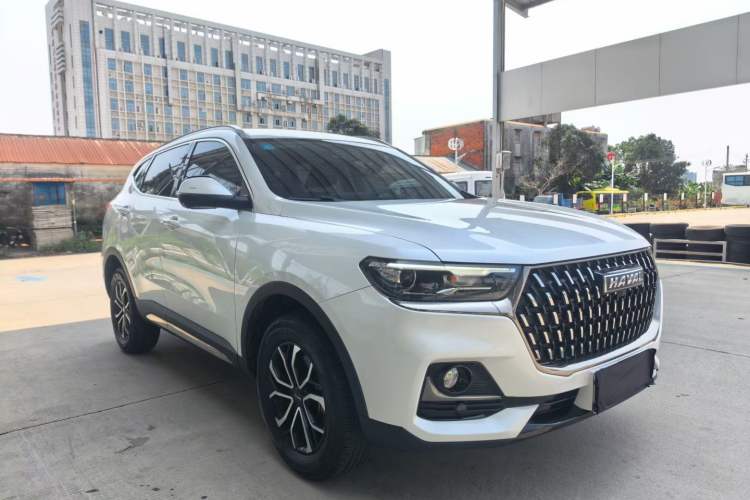 Used Haval H6 2023 National Trend Edition 1.5T Automatic Urban Version
