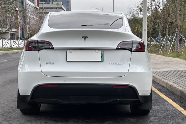 Used Tesla Model Y 2021 Long-Range All-Wheel-Drive Version
