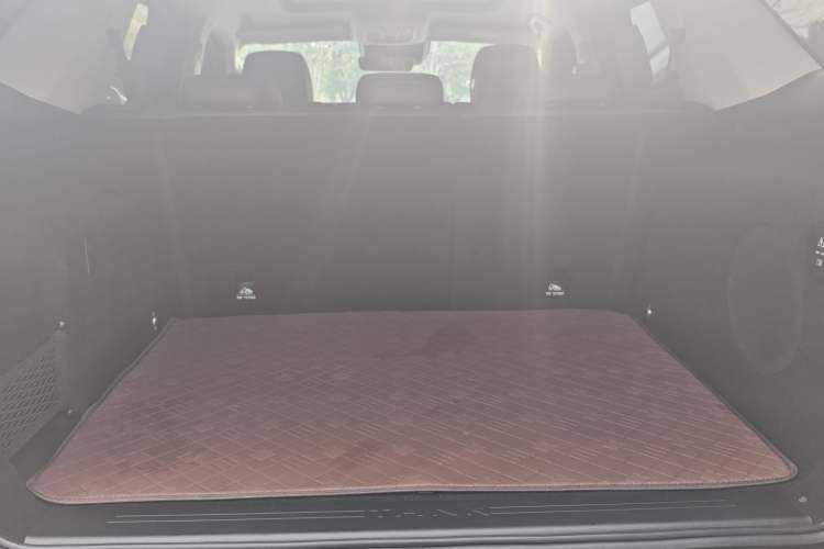 Used Tank 400 2025 2.0T Gasoline Version
