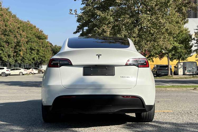 Used Tesla Model Y 2021 Long-Range All-Wheel-Drive Version 3D7