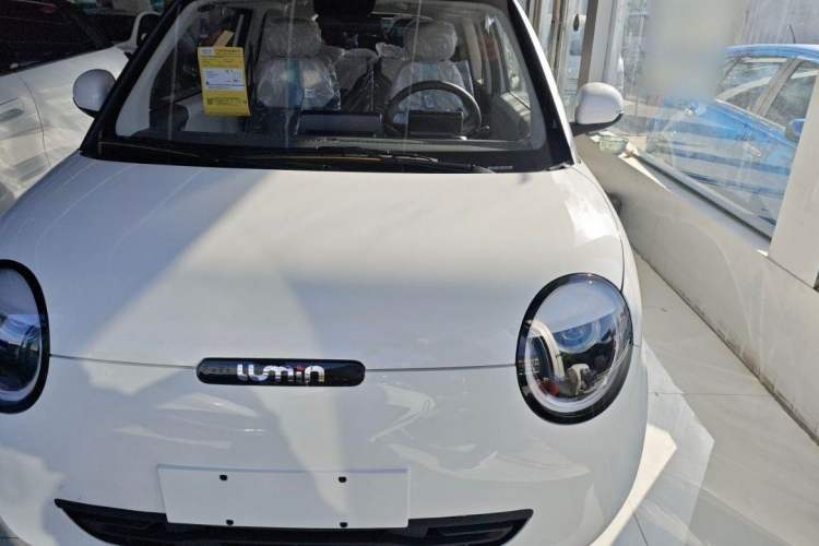 Used CHANGAN Lumin 2022 301km Honey-Sweet Version Exterior 3