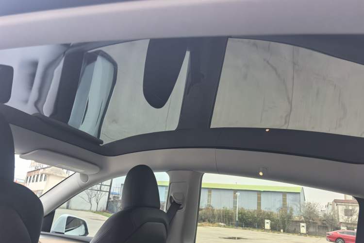 Used Tesla Model Y 2022 Revised Version Long-Range All-Wheel Drive
