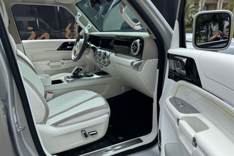 Used Cyberspace Tank 300 2021 2.0T Cyber Tank
