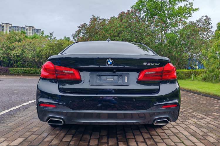 Used BMW 5 Series 2019 530Li Leading Model M Sport Package
