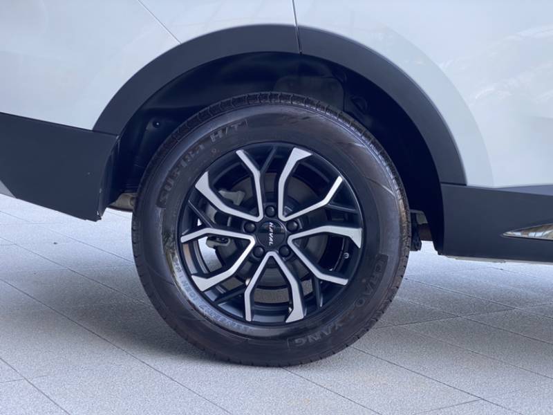 Used Haval H6 2023 National Trend Edition 1.5T Automatic Urban Version — 30