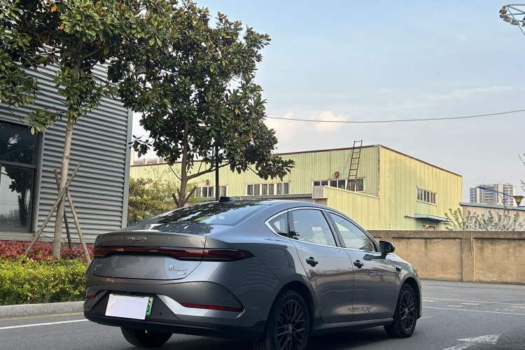 Used BYD Qin PLUS 2025 EV Smart Drive Version 510KM Beyond Model Exterior 5