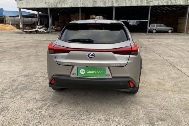 Used Lexus UX New Energy 2020 300e Pure·Joy Edition