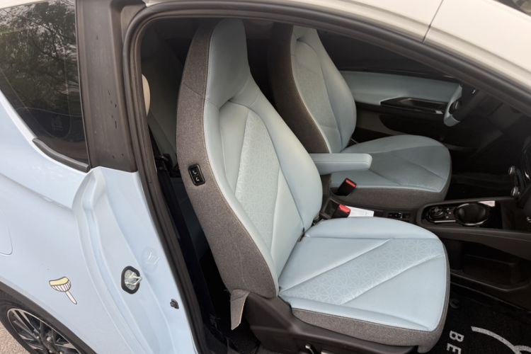 Used Chery QQ Little Ant 2023 251km True Love Edition Lithium Iron Phosphate Exterior 5