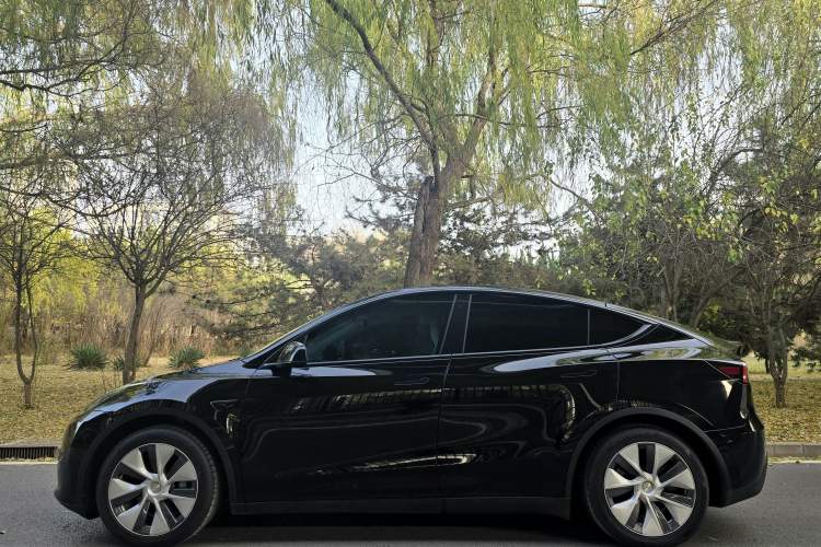 Used Tesla Model Y 2022 Rear-Wheel-Drive Version
