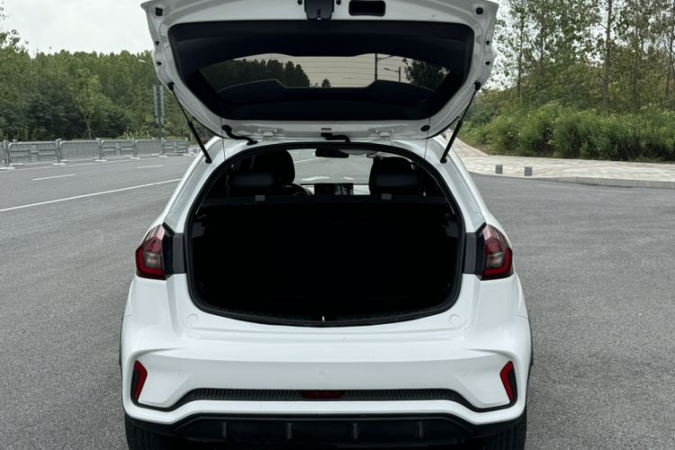 Used Geometry EX3 Kung Fu Cow 2021 Tough Bull Cow Trunk