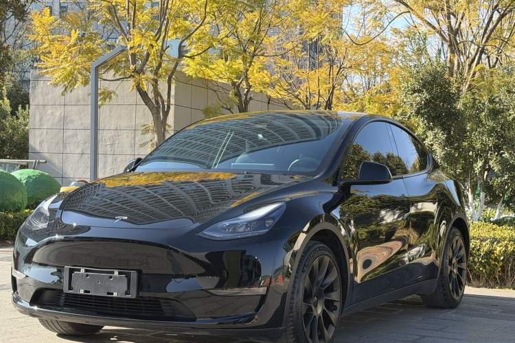 Used Tesla Model Y 2022 Long-Range All-Wheel-Drive Version