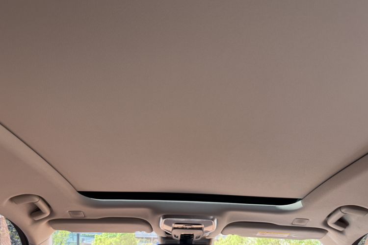 Used Hongqi H9 2022 2.0T Smart Connect Flagship Edition Headliner