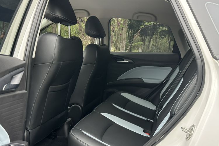 Used NETA V 2021 Long-Range Entertainment Edition Upgrade Model Interior 1