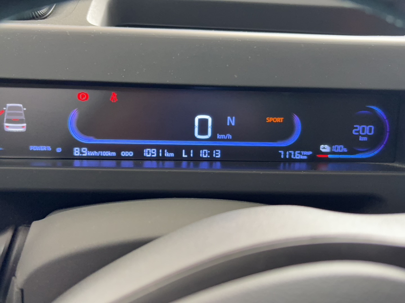 Geely Galaxy Panda 2023 Panda Mini 200km Endurance Bear — снимка 18