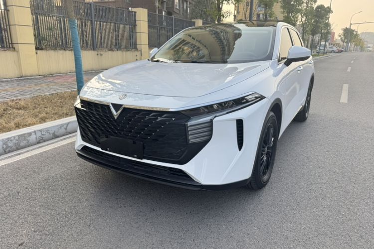 Used Venucia V 2022 260T Custom Edition · Idol
