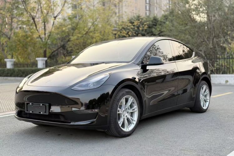 Used Tesla Model Y 2021 Long-Range All-Wheel-Drive Version