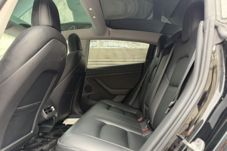 Used Tesla Model 3 2022 Rear-Wheel-Drive Version