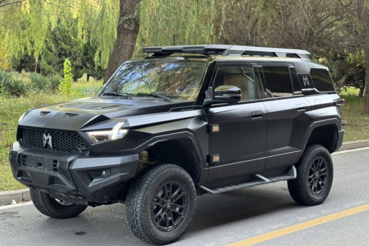 Used Brave warrior 917 2023 Pure Electric Base Model