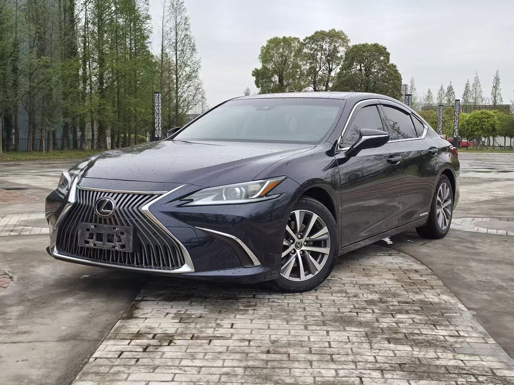 Parte inferior delantera