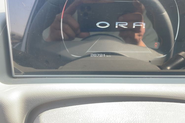 Used ORA White Cat 2020 305 km Luxury Version