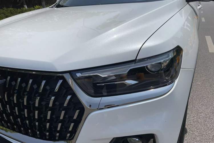 Used Haval H6 2023 National Trend Edition 1.5T Automatic Champion Version
