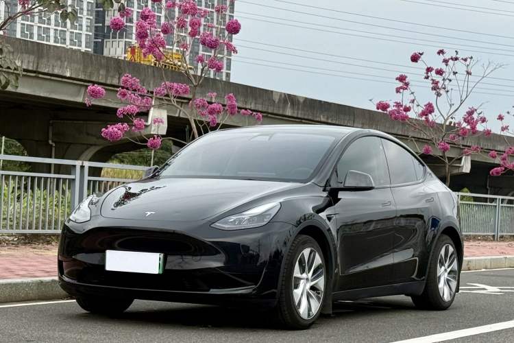 Used Tesla Model Y 2022 Rear-Wheel-Drive Version