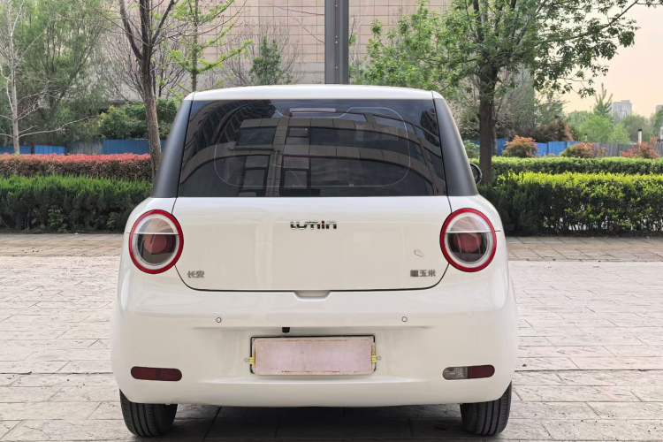 Used CHANGAN NEVO Lumin 2024 205km Launch Edition Exterior 8