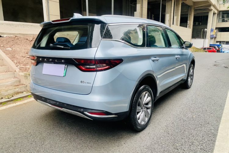 Used Livan Maple 80v PRO 2022 Comfort Edition Standard Range Version
