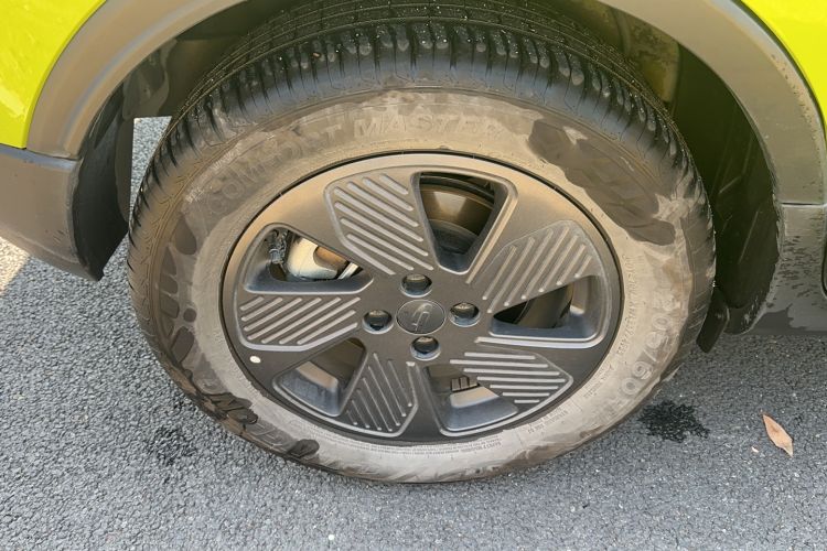 Used Geometry E Firefly 2023 401KM Lightning Tiger 5-Seater