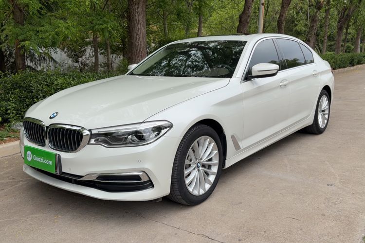 Used BMW 5 Series 2020 530Li Leading Edition Luxury Package
