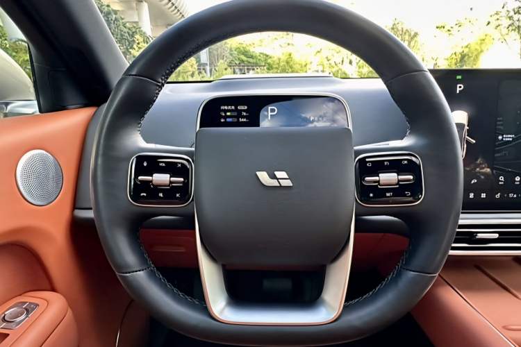 Used Li Auto L9 2022 Max model
