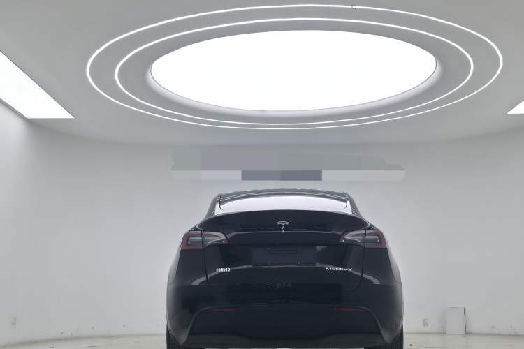 Used Tesla Model Y 2022 Long-Range All-Wheel-Drive Version Exterior 5