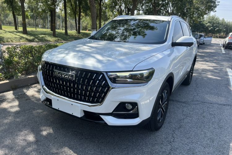 Used Haval H6 2023 National Trend Edition 1.5T Automatic Urban Version