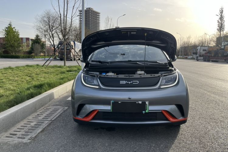 Used BYD Dolphin 2021 405 km Fashion Edition Exterior 2