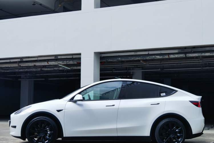 Used Tesla Model Y 2022 Rear-Wheel-Drive Version
