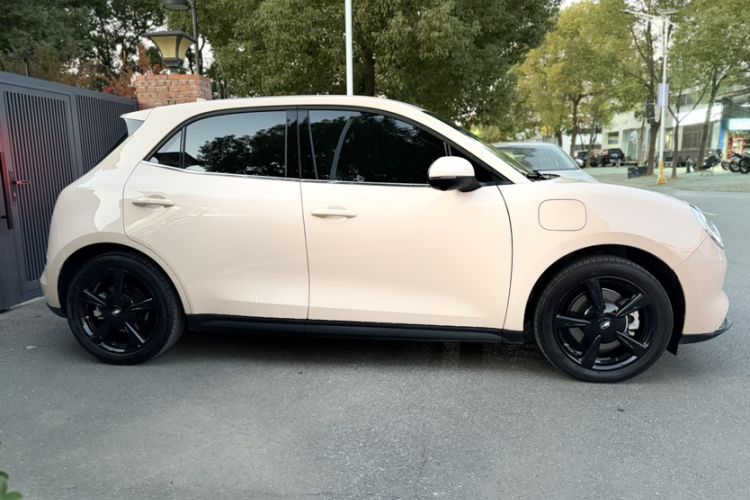 Used ORA Good Cat 2024 401 km Luxury Version