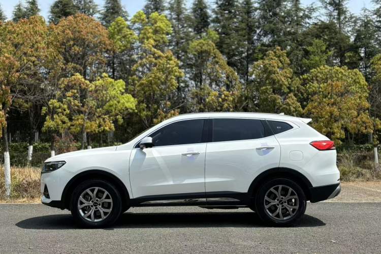 Used Haval H6 2021 China Trend Edition 1.5 GDIT Automatic Champion Version