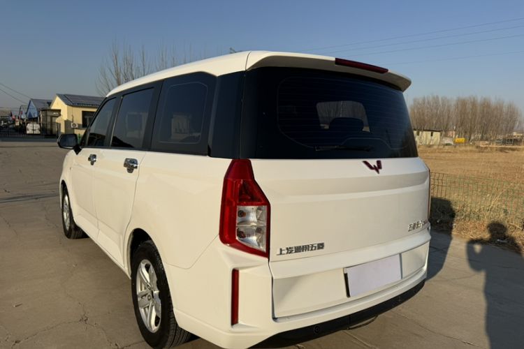 Used Wuling Hongguang PLUS 2019 1.5T Manual Luxury 7-Seater Exterior 6