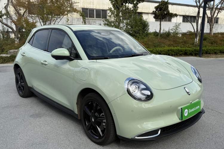 Used ORA Good Cat 2024 401 km Luxury Version 126 kW Exterior 2