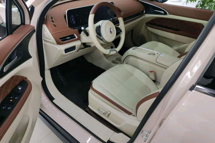 Used ORA Good Cat 2023 401 km Standard Range Luxury Version Lithium Iron Phosphate
