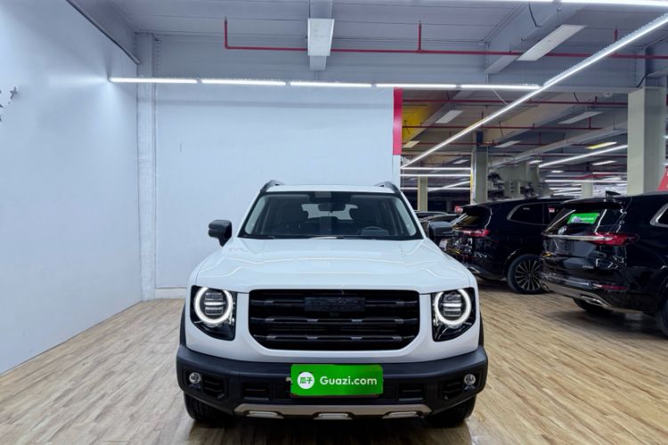 Used Haval DARGO 2021 1.5T DCT Two-Wheel Drive Labrador Edition Exterior 2