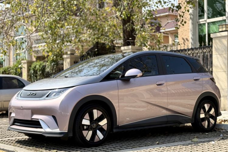 Used BYD Dolphin 2021 401km Knight Edition