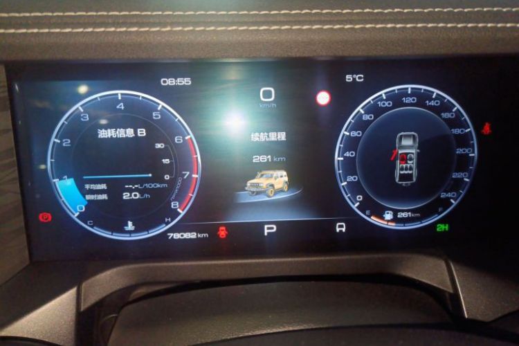 Used Tank 300 2022 2.0T Border Limited Edition