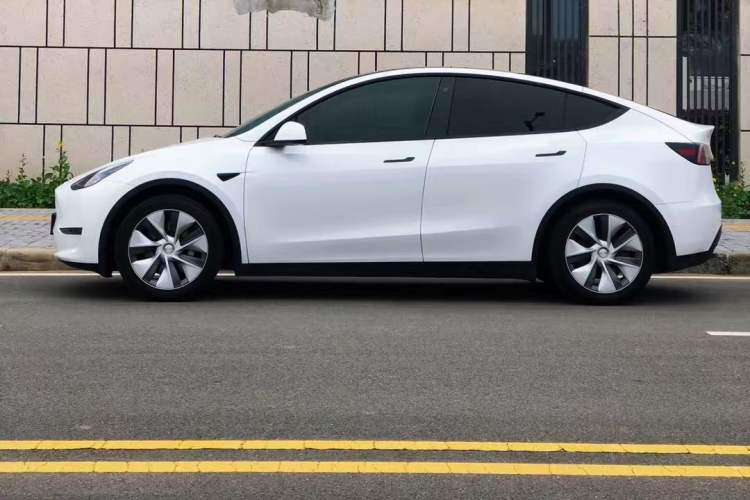 Used Tesla Model Y 2021 Standard Range Rear-Wheel Drive Version Exterior 6