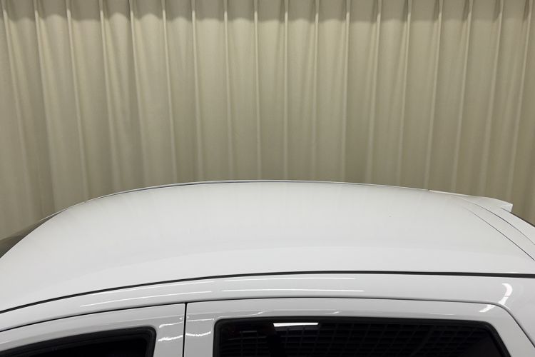 Used Geometry EX3 Kung Fu Cow 2021 Tough Bull Cow Roof