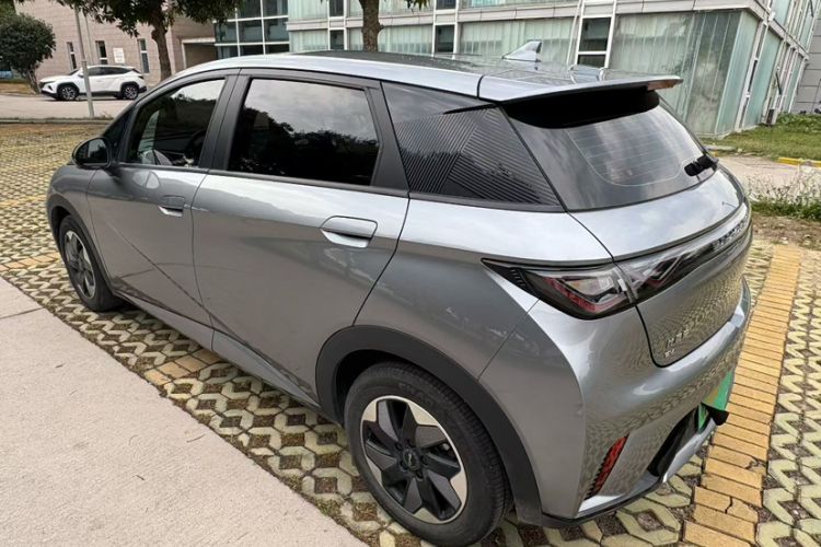 Used BYD Dolphin 2024 Honor Edition 420km Freedom Version