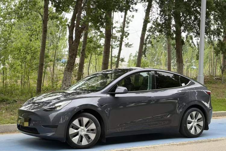 Used Tesla Model Y 2022 Revised Version Rear-Wheel Drive